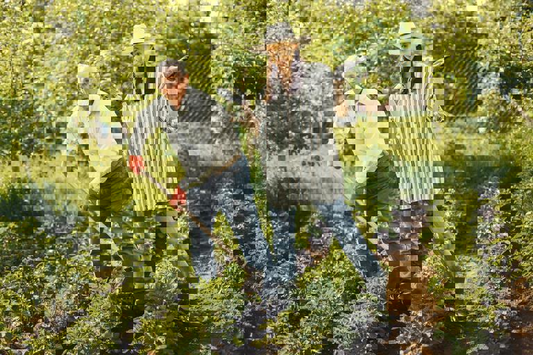 Elderly Man Discovers Unexploded Wartime Shell While Digging Vegetable Patch